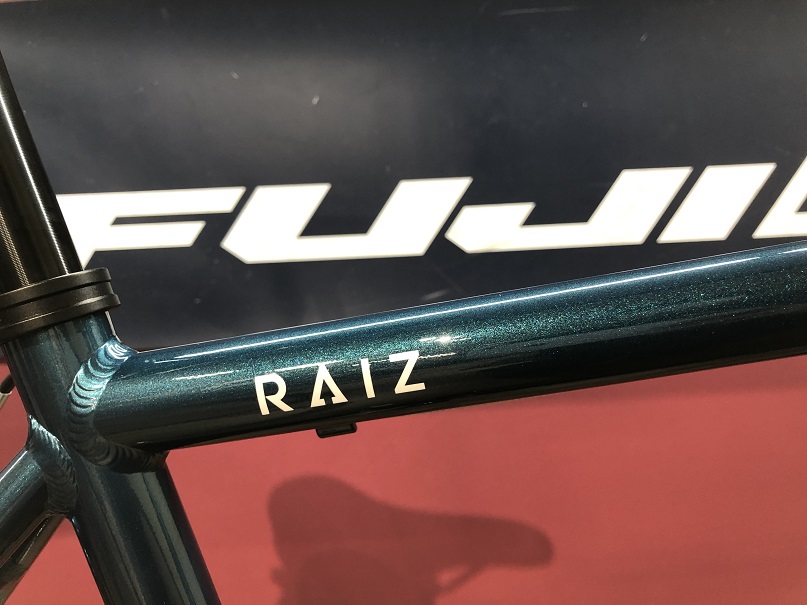 raiz (2)