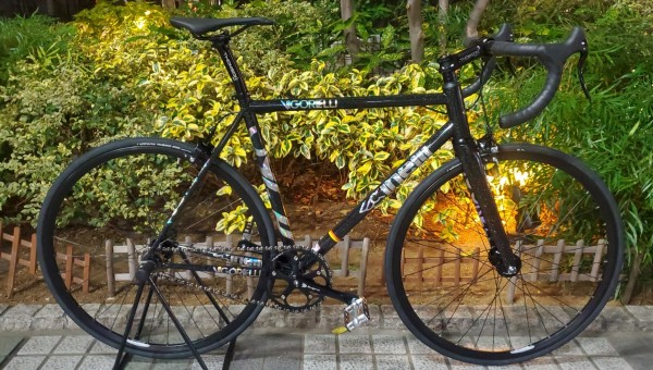 VIGORELLI STEEL