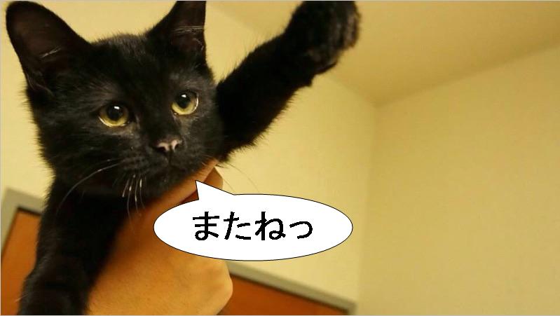 またね
