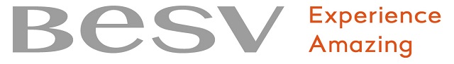 besv_AIS