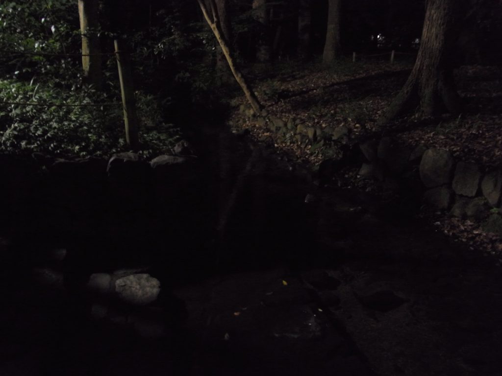 Exif_JPEG_PICTURE