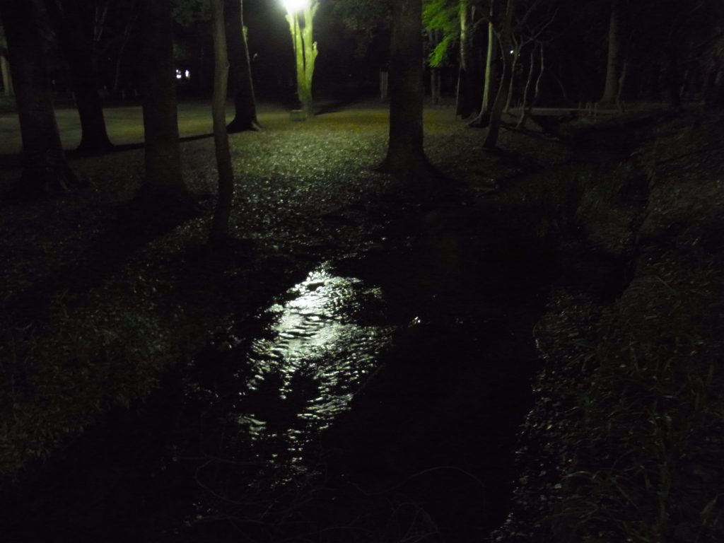 Exif_JPEG_PICTURE