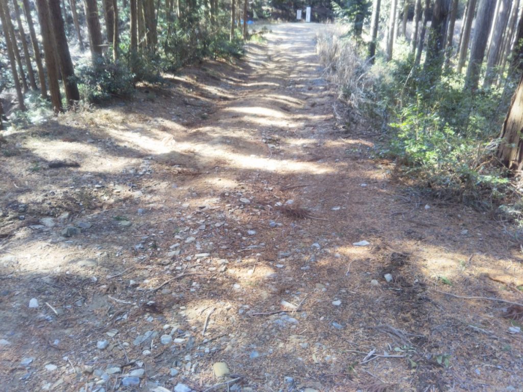 IMG_20180302_131545