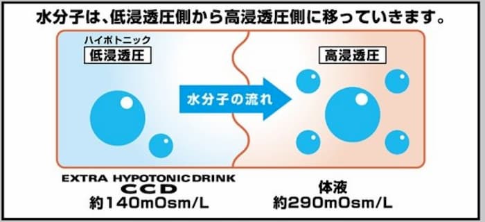 ccdハイポトニック