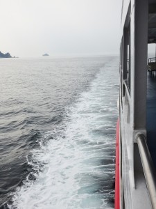 P6152862