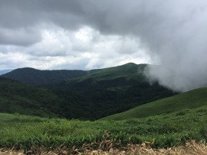 IMG_2339