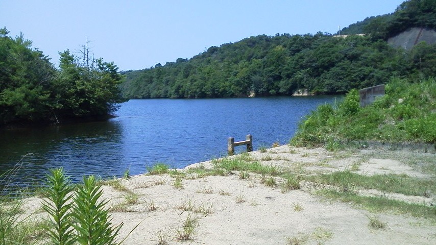 2016080110370000.jpg
