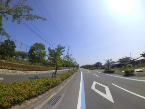 IMG_3696