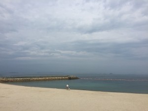IMG_3785
