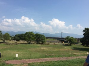 img_3842