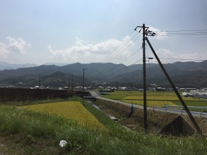 img_3843