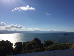 img_4339