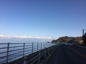 img_4406