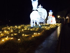 img_9097
