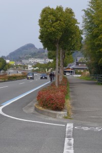 IMGP2481
