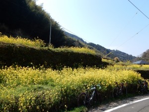 DSCN9381