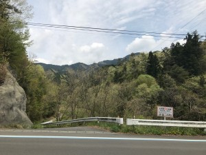 17042704