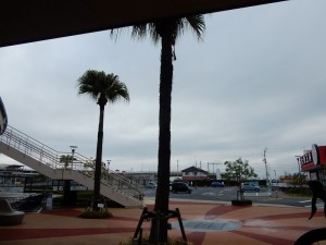 DSCN9868