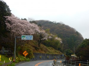 DSCN9915