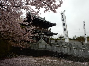 DSCN9930