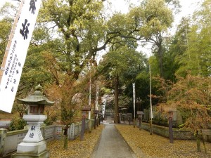 DSCN9932