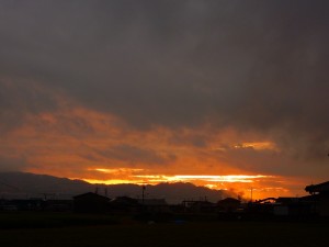 DSCN9952