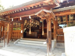 DSCN9978