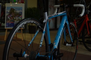 IMGP1600