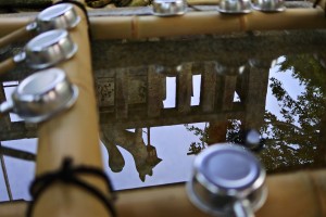 IMG_5304