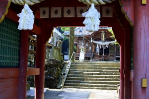 shuk7sen7011IMG_5686