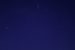 -800_DSC9741