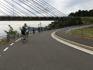IMG_0489