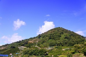 s1_DSC0345