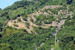 s1_DSC0354