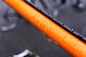 s1_DSC0817