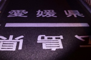 s_DSC4303