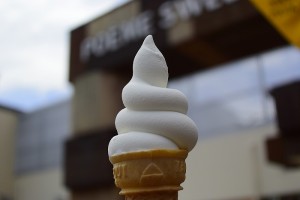 s_DSC4040