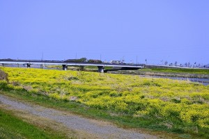 s_DSC5029