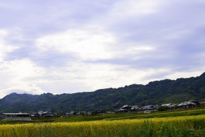 s_DSC5900
