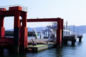 s_DSC8216