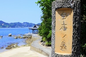 s_DSC8279