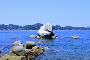 s_DSC8281
