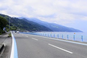 s_DSC8746