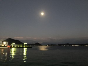 s-IMG_1693