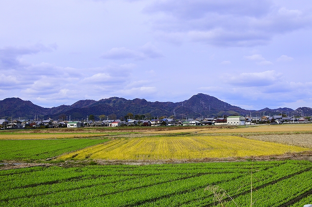 s-_DSC0319