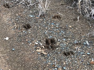s-IMG_2223