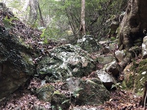s-IMG_2331