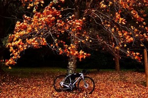s-IMG_2345