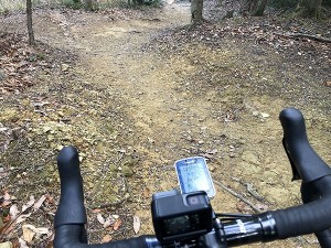 s-IMG_2367
