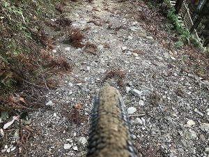 s-IMG_2371